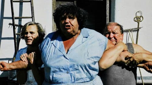 Slunce, seno a pár facek Bild 1