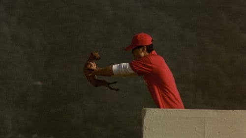 Hunde, die bellen, beißen nicht Bild 6