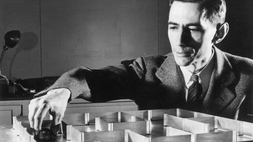 The Bit Player Bild 1