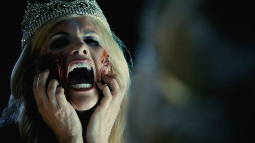 Bring Me a Dream Bild 4