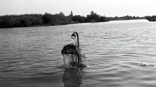 Mąż swojej żony Bild 8