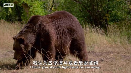 Animal Impossible Bild 8