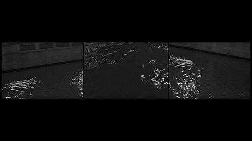 Стробоскоп Bild 1