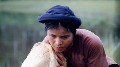 Mê Thảo - thời vang bóng Bild 2