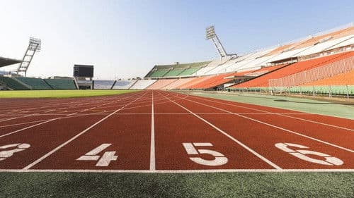 Only See Great Bild 1