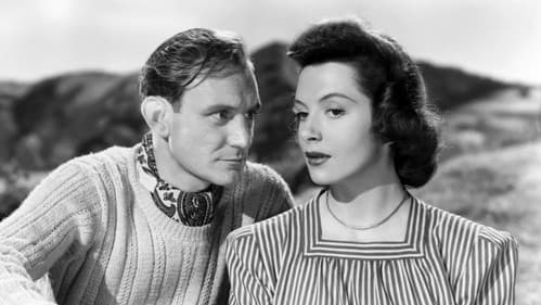 I See a Dark Stranger Bild 2