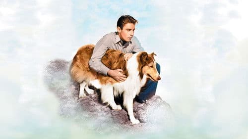 Son of Lassie Bild 2
