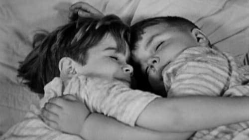 Die alte Wunderlampe Bild 2