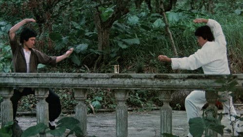 Todesgrüße von Bruce Lee Bild 5