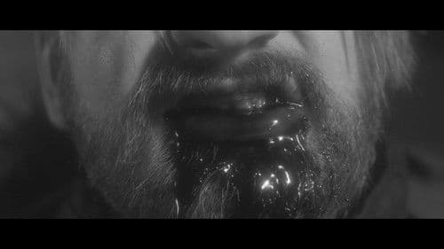 Verine väits Bild 2