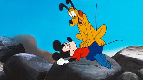 Die einfachen Dinge Bild 2