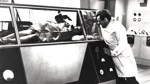 Der Fluch der Fliege Bild 5