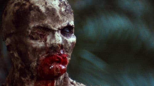 Woodoo - Die Schreckensinsel der Zombies Bild 3