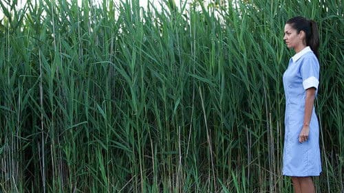 The Maid's Room Bild 5