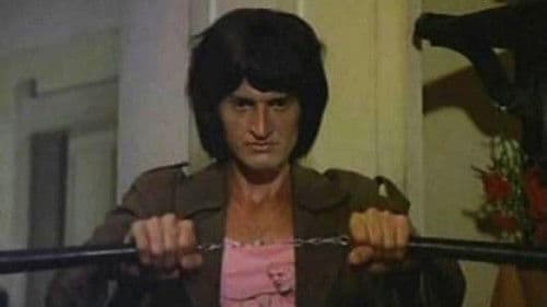 Kung Fu Contra as Bonecas Bild 1