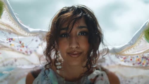 Where The Butterflies Went Bild 1