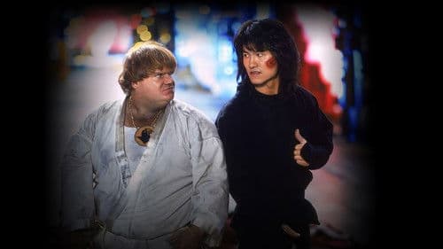 Beverly Hills Ninja - Die Kampfwurst Bild 2