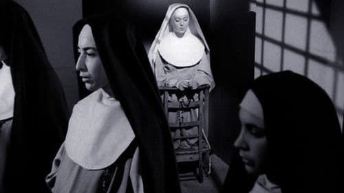 Frauen hinter Gittern Bild 1