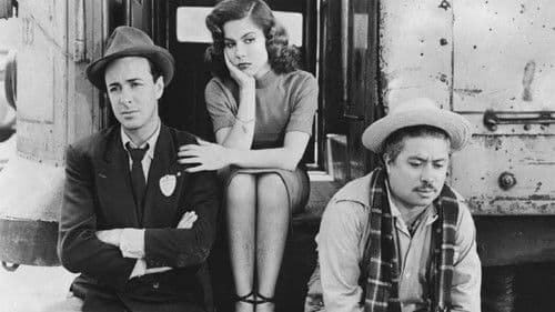 Die Illusion fährt mit der Straßenbahn Bild 3