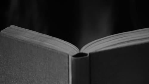 The Book Club Bild 2