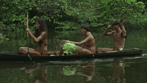 Cenizas Eternas Bild 1