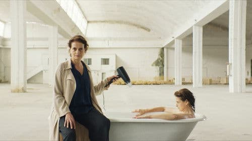 Sonhar com Leões Bild 1