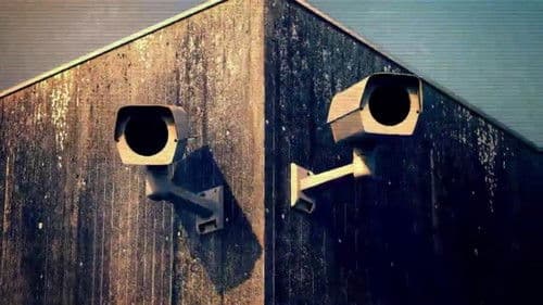 Unglaubliche Aufnahmen Bild 3