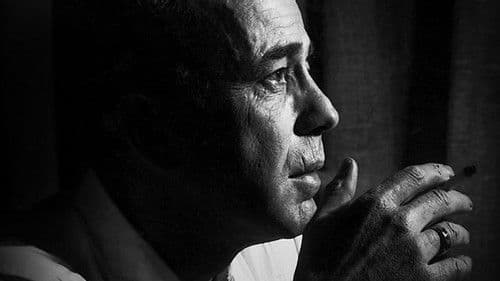 The Rules of Film Noir Bild 1