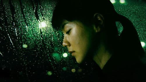 Das Licht der Illusion Bild 8