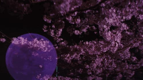 遙かな時代の階段を Bild 6