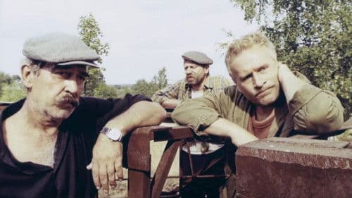 Черный аист Bild 1