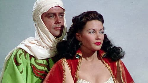 Der Wüstenfalke Bild 8