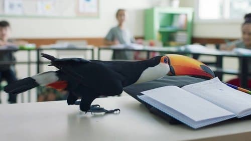 O Livro dos Prazeres Bild 6