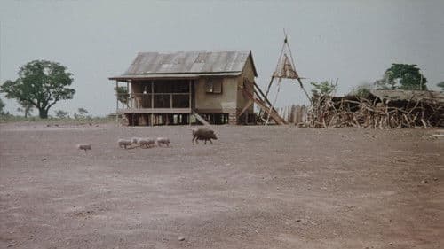 Sehnsucht nach Afrika Bild 2