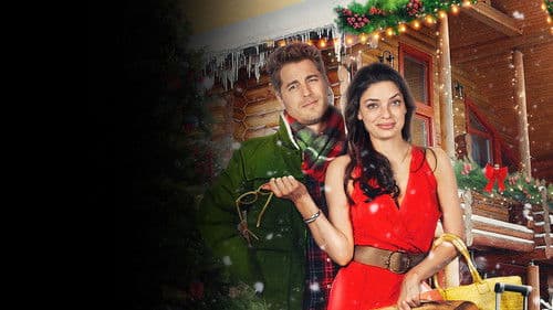 Zwei Singles an Weihnachten Bild 5