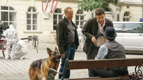 Kommissar Rex Bild 3