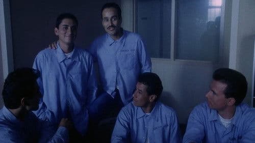 Das Gesetz der Gewalt Bild 7