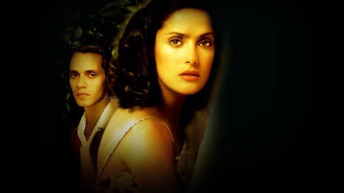 Die Zeit der Schmetterlinge Bild 4