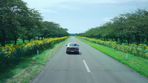 かぞく Bild 4