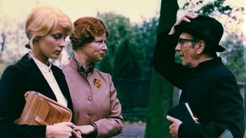 Die Notlösung Bild 3