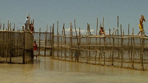 Sem Coração Bild 3