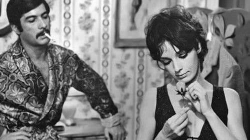 Cent Briques et des tuiles Bild 1