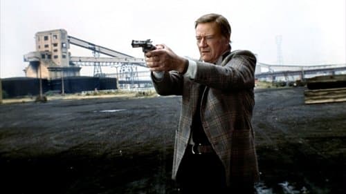 Brannigan - Ein Mann aus Stahl Bild 1