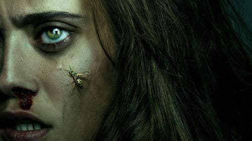 Yellowjackets Bild 3