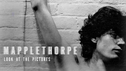 Mapplethorpe: Look at the Pictures Bild 2