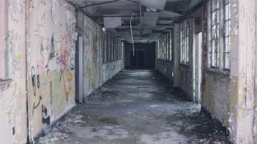 The Widow in White Bild 2