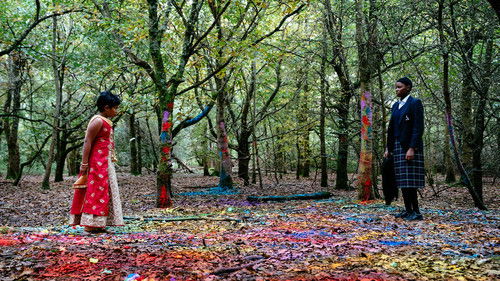 Dọlápò is Fine Bild 3