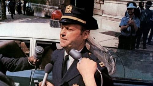 Der Anderson Clan Bild 8