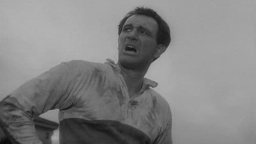 Lockender Lorbeer Bild 4