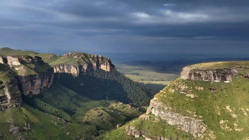 Planet Erde - Die Macht des Lebens Bild 6